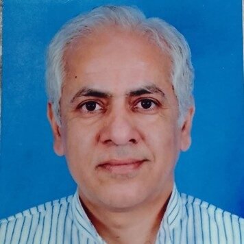 staff of dsvv mathematics department