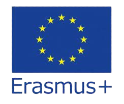 DSVV Erasmus image